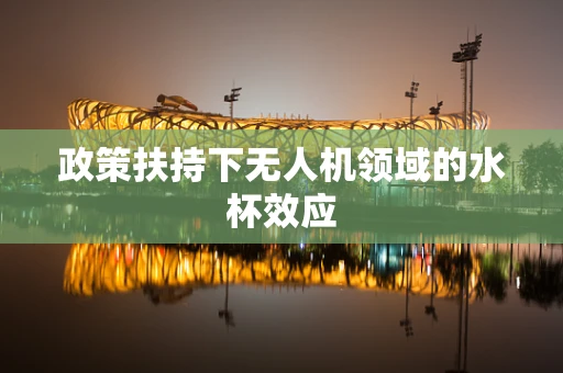 政策扶持下无人机领域的水杯效应