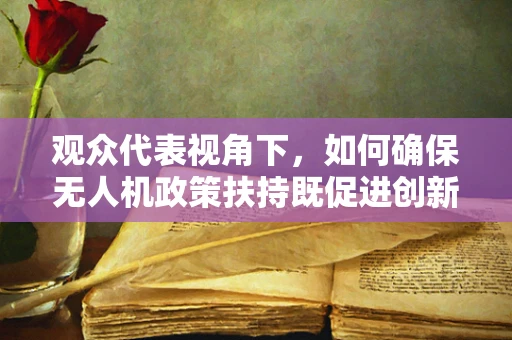 观众代表视角下，如何确保无人机政策扶持既促进创新又保障公众安全？
