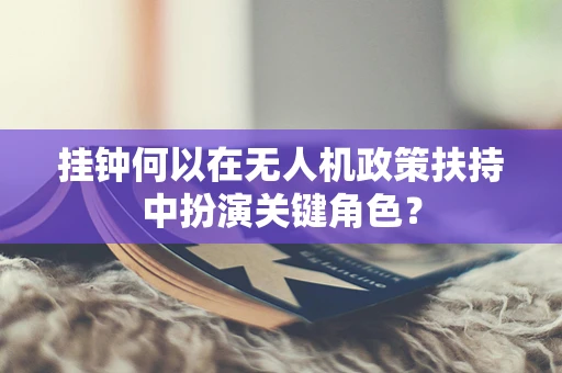 挂钟何以在无人机政策扶持中扮演关键角色？