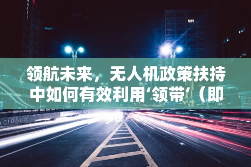 领航未来，无人机政策扶持中如何有效利用‘领带’（即领航员）进行安全监管？