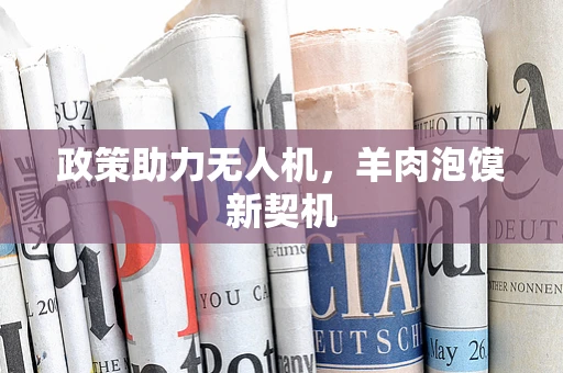 政策助力无人机，羊肉泡馍新契机