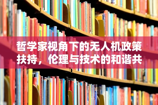 哲学家视角下的无人机政策扶持，伦理与技术的和谐共舞