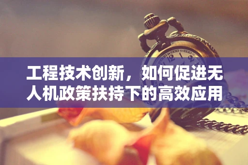 工程技术创新，如何促进无人机政策扶持下的高效应用？