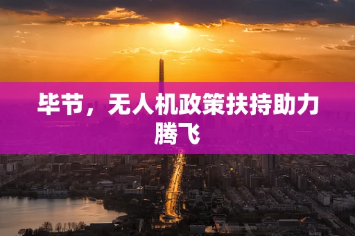 毕节，无人机政策扶持助力腾飞