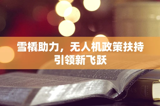 雪橇助力，无人机政策扶持引领新飞跃