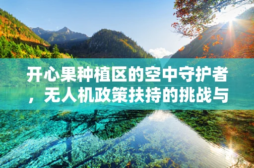 开心果种植区的空中守护者，无人机政策扶持的挑战与机遇