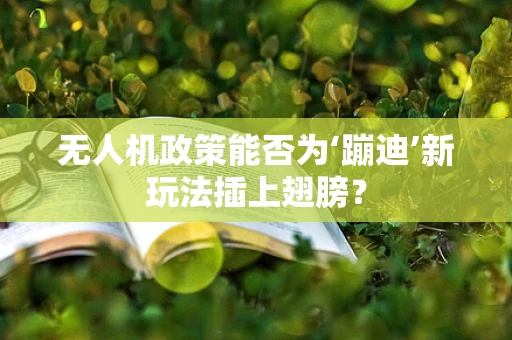 无人机政策能否为‘蹦迪’新玩法插上翅膀？