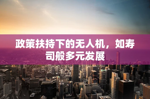 政策扶持下的无人机，如寿司般多元发展