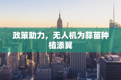 政策助力，无人机为蒜苗种植添翼