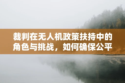 裁判在无人机政策扶持中的角色与挑战，如何确保公平与效率？