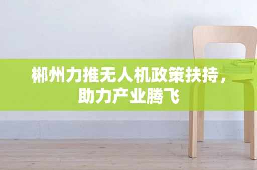 郴州力推无人机政策扶持，助力产业腾飞
