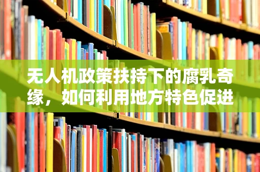 无人机政策扶持下的腐乳奇缘，如何利用地方特色促进无人机产业创新？