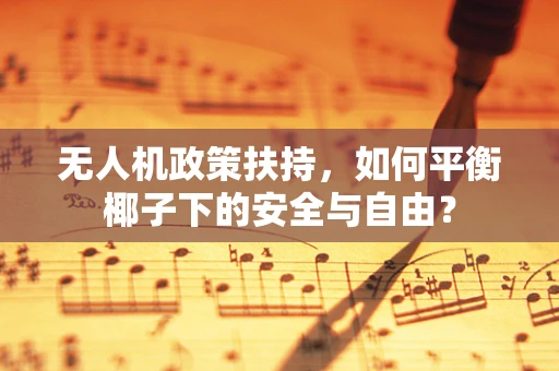 无人机政策扶持，如何平衡椰子下的安全与自由？