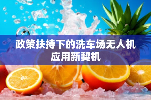 政策扶持下的洗车场无人机应用新契机