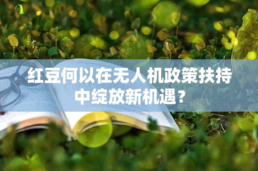 红豆何以在无人机政策扶持中绽放新机遇？