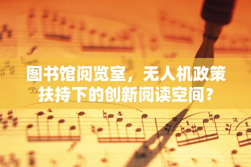 图书馆阅览室，无人机政策扶持下的创新阅读空间？