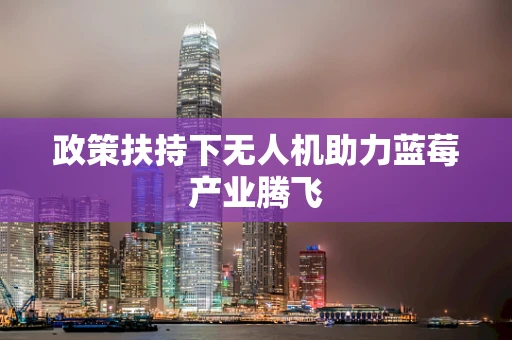 政策扶持下无人机助力蓝莓产业腾飞