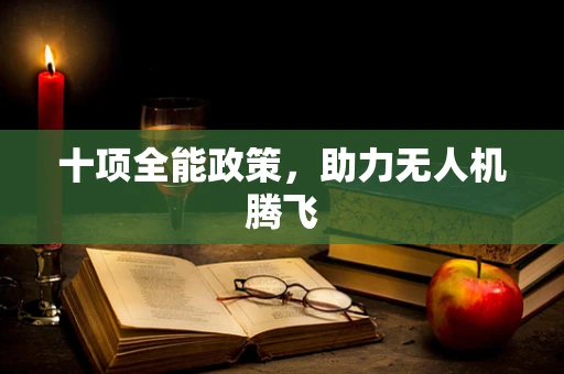 十项全能政策，助力无人机腾飞