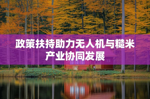 政策扶持助力无人机与糙米产业协同发展