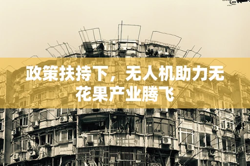 政策扶持下，无人机助力无花果产业腾飞