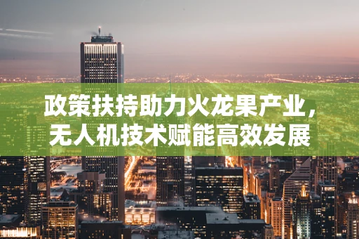 政策扶持助力火龙果产业，无人机技术赋能高效发展