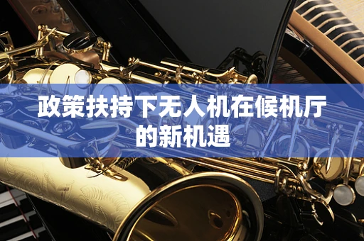 政策扶持下无人机在候机厅的新机遇