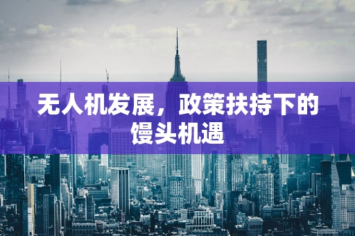 无人机发展，政策扶持下的馒头机遇