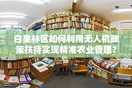 白果林区如何利用无人机政策扶持实现精准农业管理？