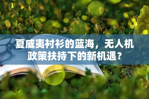 夏威夷衬衫的蓝海，无人机政策扶持下的新机遇？
