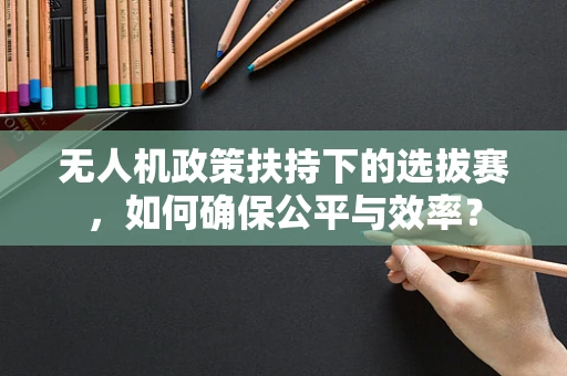 无人机政策扶持下的选拔赛，如何确保公平与效率？