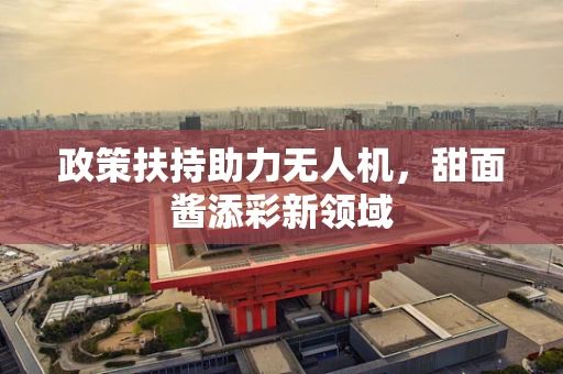 政策扶持助力无人机，甜面酱添彩新领域