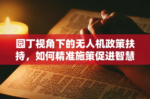 园丁视角下的无人机政策扶持，如何精准施策促进智慧农业发展？