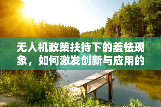 无人机政策扶持下的羞怯现象，如何激发创新与应用的勇气？