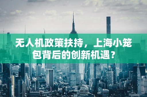无人机政策扶持，上海小笼包背后的创新机遇？