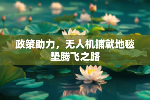 政策助力，无人机铺就地毯垫腾飞之路