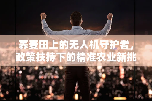 荞麦田上的无人机守护者，政策扶持下的精准农业新挑战？
