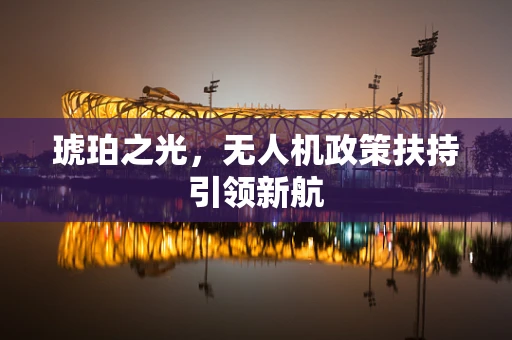 琥珀之光，无人机政策扶持引领新航