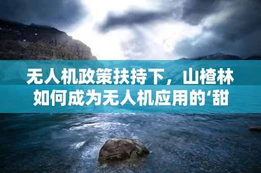 无人机政策扶持下，山楂林如何成为无人机应用的‘甜蜜’试点？