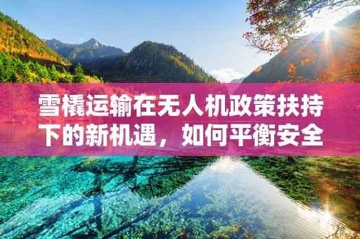 雪橇运输在无人机政策扶持下的新机遇，如何平衡安全与效率？