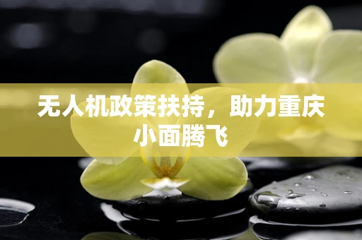 无人机政策扶持，助力重庆小面腾飞