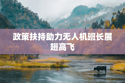 政策扶持助力无人机班长展翅高飞
