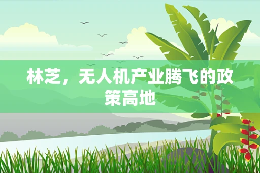 林芝，无人机产业腾飞的政策高地