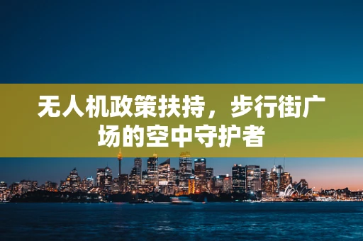 无人机政策扶持，步行街广场的空中守护者