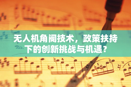 无人机角阀技术，政策扶持下的创新挑战与机遇？