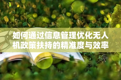 如何通过信息管理优化无人机政策扶持的精准度与效率？