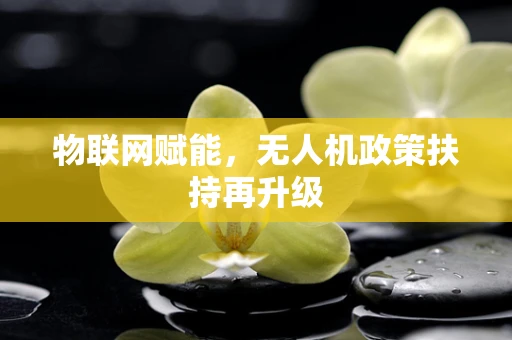 物联网赋能，无人机政策扶持再升级