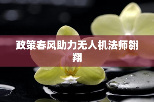 政策春风助力无人机法师翱翔