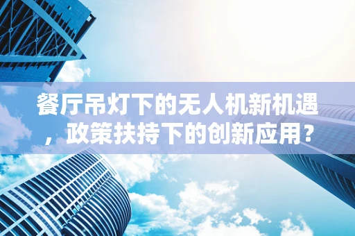 餐厅吊灯下的无人机新机遇，政策扶持下的创新应用？