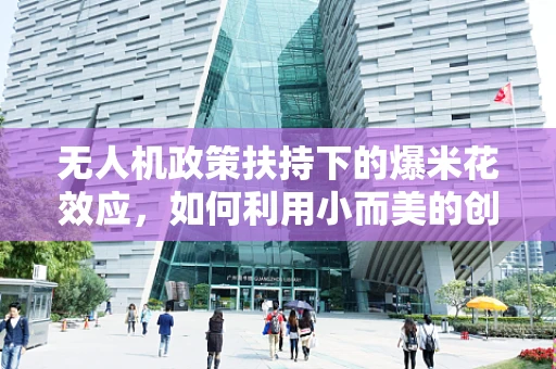 无人机政策扶持下的爆米花效应，如何利用小而美的创新推动行业大发展？