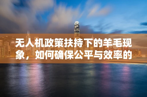 无人机政策扶持下的羊毛现象，如何确保公平与效率的双重保障？
